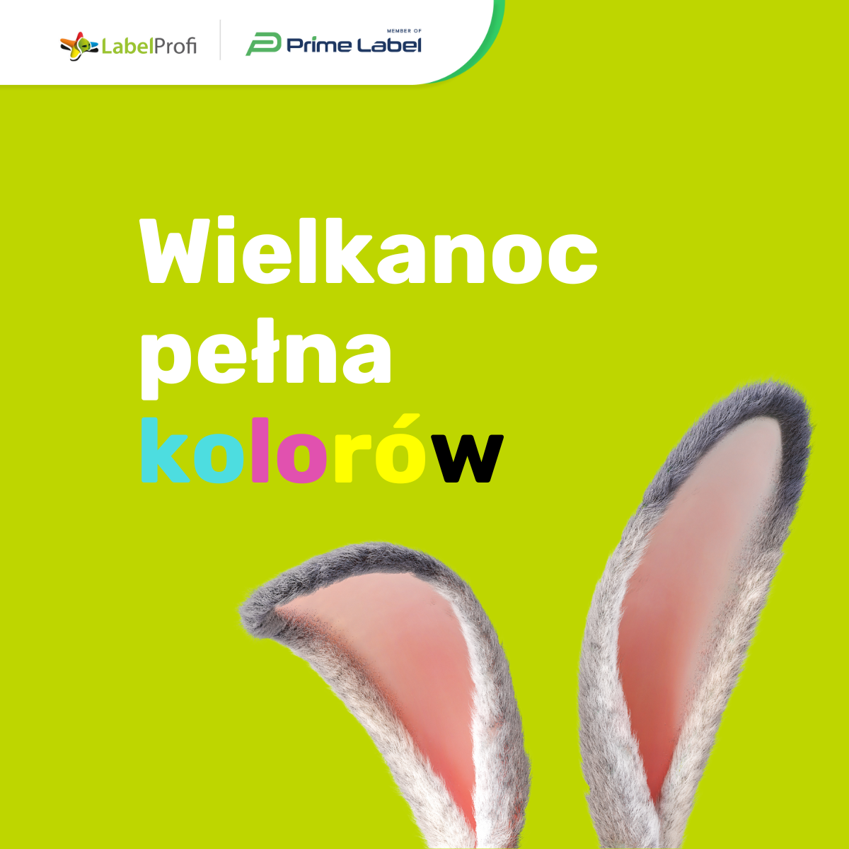 Wielkanoc pełna kolorów…